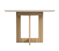 MESA DE JANTAR MJ - 147 1200